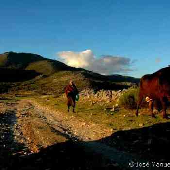 Click para ampliar. Pulsa en el nombre para ver la ficha. larouco A